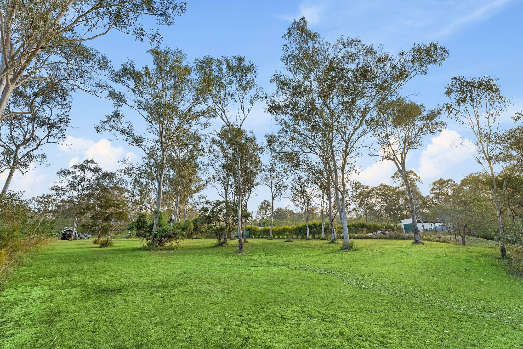 7 Bert Street, Modbury SA 5092, Modbury - Thumbnail 4