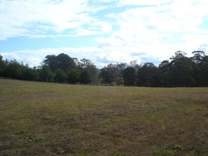 957 Dunoon Road, DUNOON NSW 2480, Dunoon - Thumbnail 8