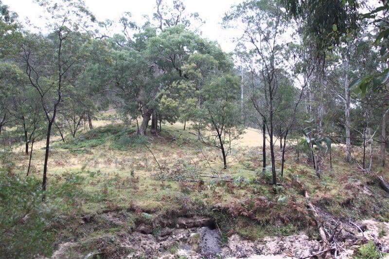 Lot 1 Putty Road, Garland Valley NSW 2330, Garland Valley - Thumbnail 2