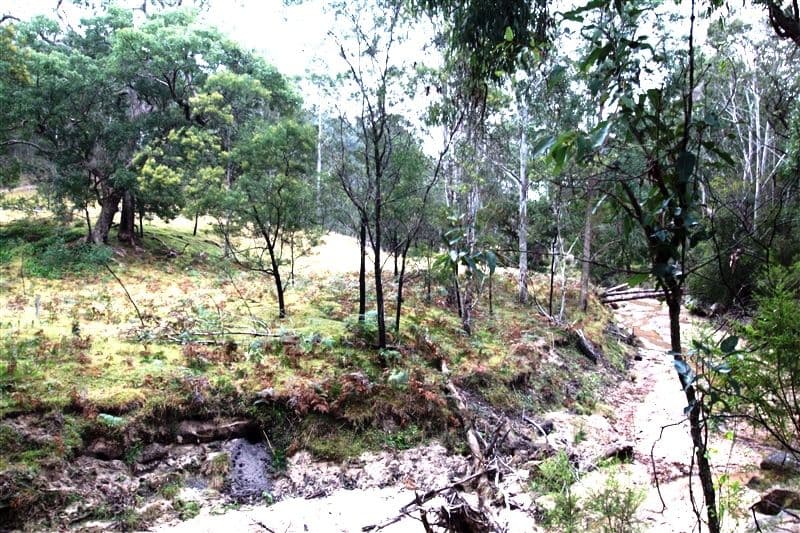 Lot 1 Putty Road, Garland Valley NSW 2330, Garland Valley - Thumbnail 6