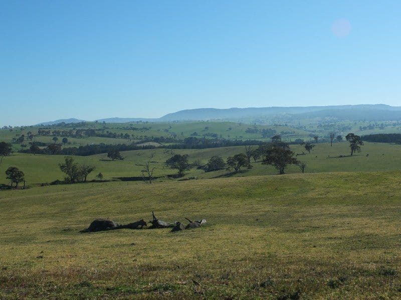 Lot 6 O''Connell Plains Road, O'Connell NSW 2795, O'Connell - Image 1