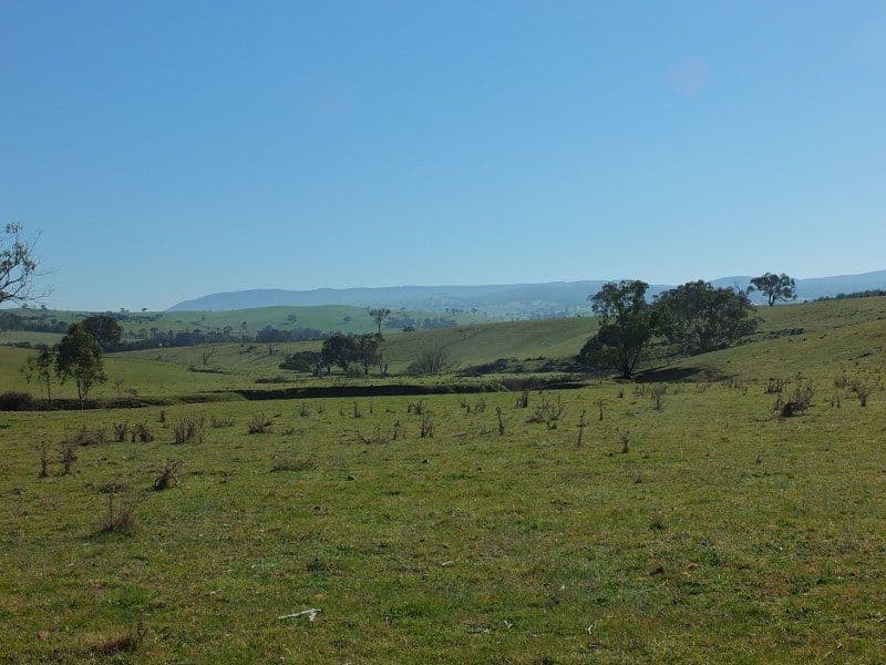 Lot 6 O''Connell Plains Road, O'Connell NSW 2795, O'Connell - Thumbnail 2
