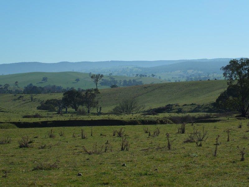 Lot 6 O''Connell Plains Road, O'Connell NSW 2795, O'Connell - Thumbnail 3