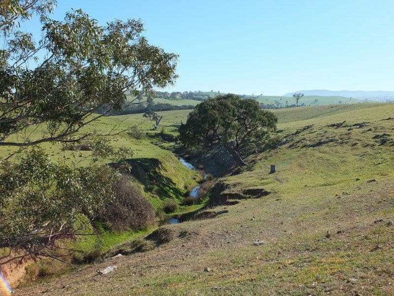 Lot 6 O''Connell Plains Road, O'Connell NSW 2795, O'Connell - Thumbnail 4