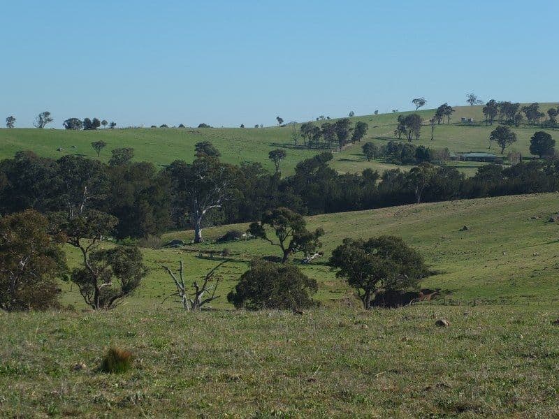 Lot 6 O''Connell Plains Road, O'Connell NSW 2795, O'Connell - Thumbnail 6
