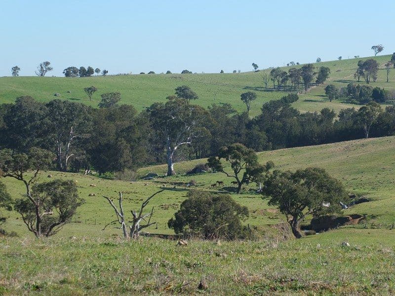 Lot 6 O''Connell Plains Road, O'Connell NSW 2795, O'Connell - Thumbnail 7