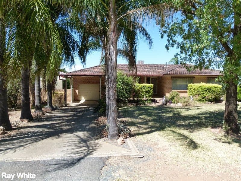 233 Farnell Street, Forbes NSW 2871, Forbes - Image 1