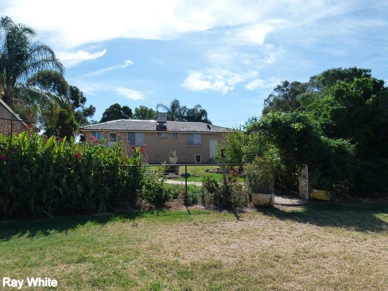 233 Farnell Street, Forbes NSW 2871, Forbes - Thumbnail 3