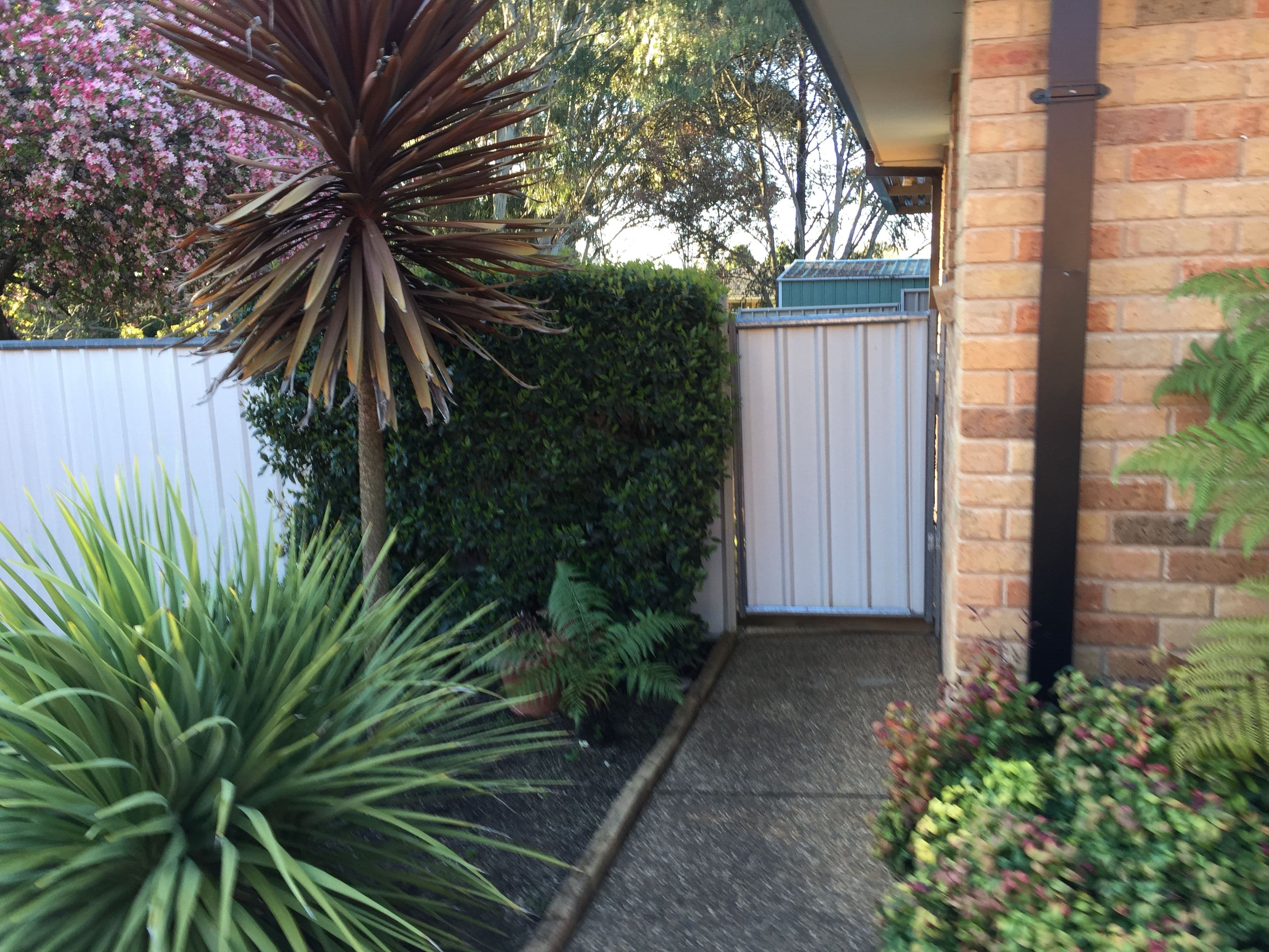120 Coronation Drive, Orange - Thumbnail 2