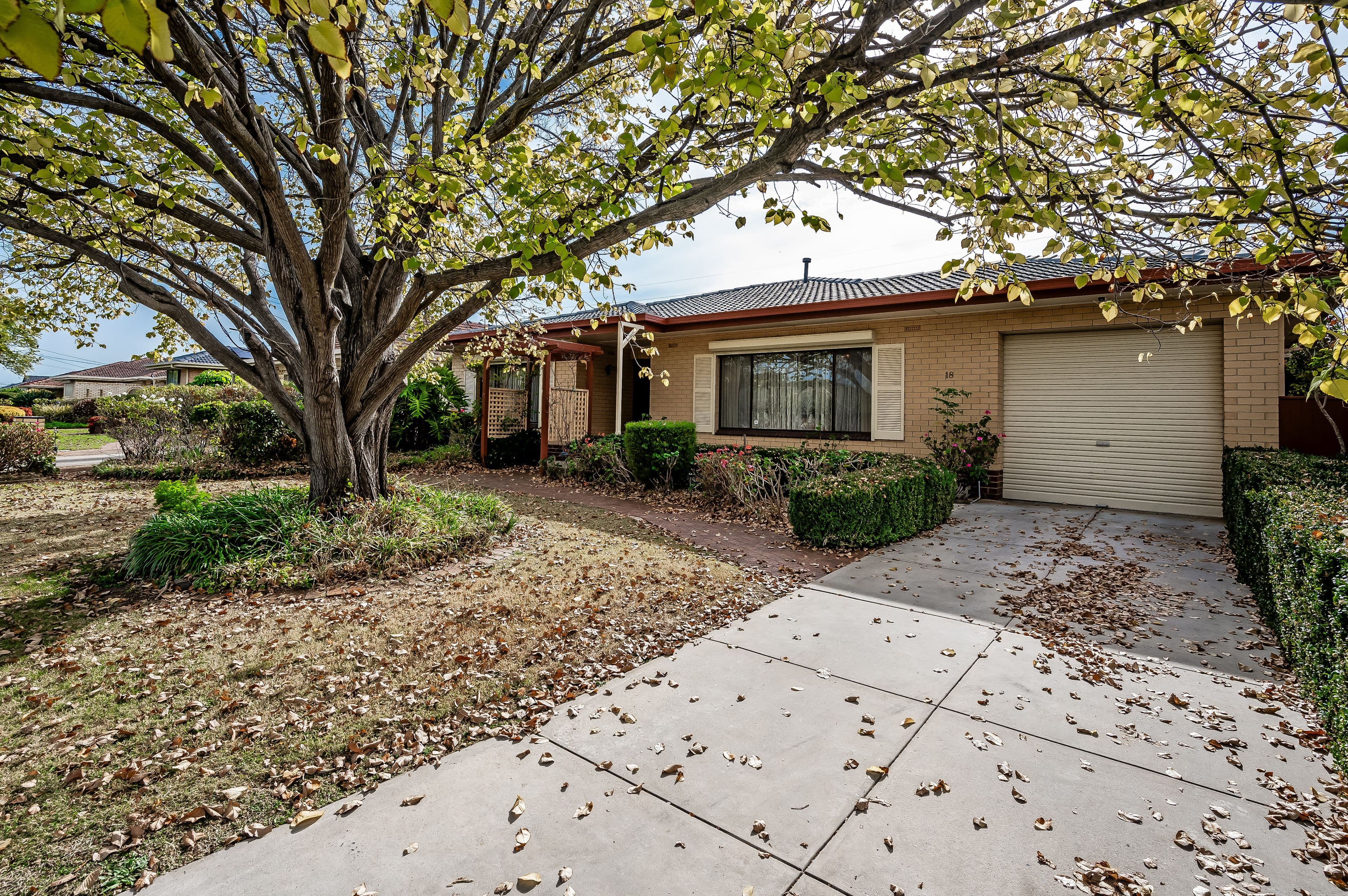 18 Robert Arnold Avenue, Valley View SA 5093, Valley View - Thumbnail 2