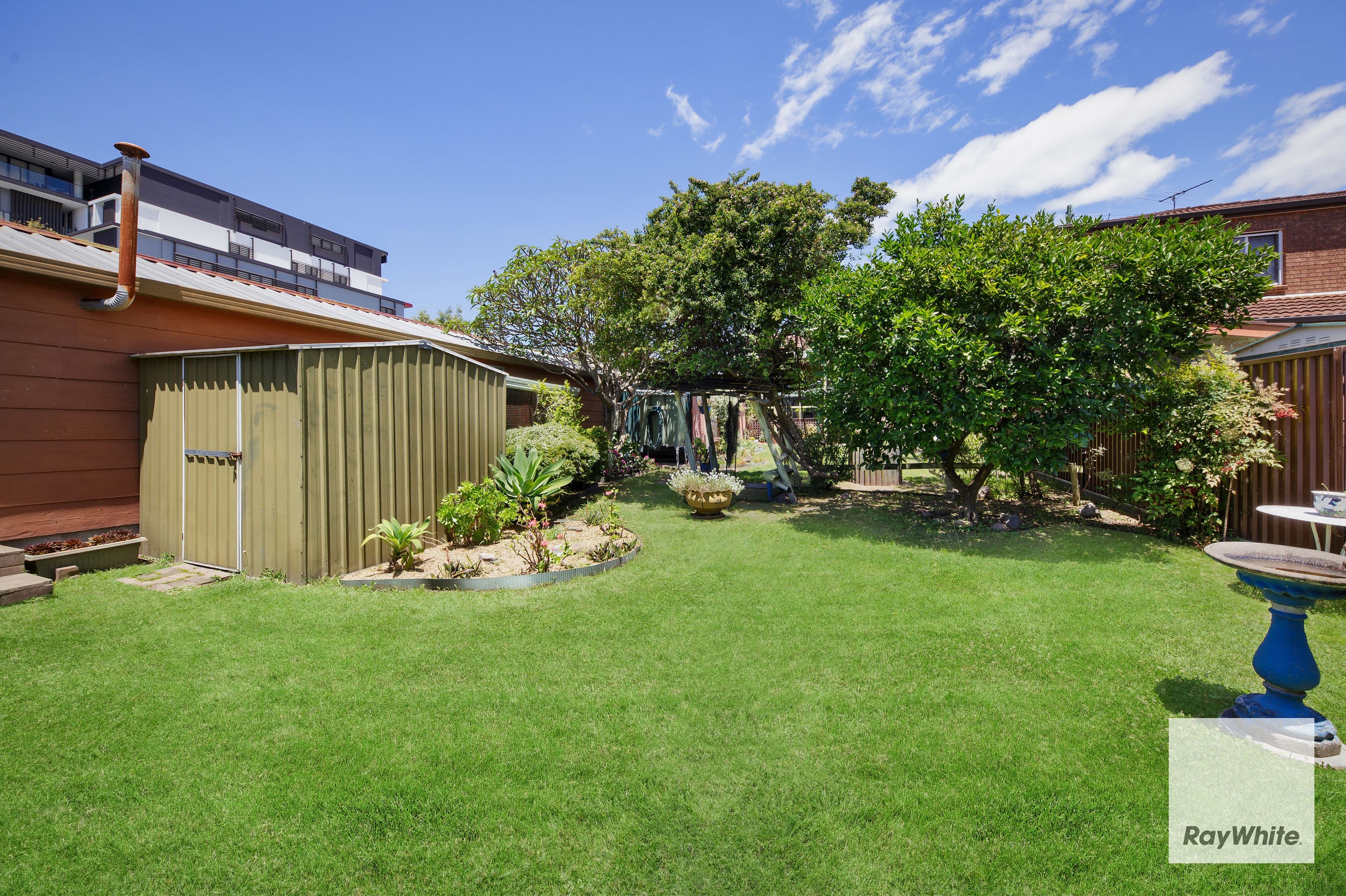 66 Edward Street, Carlton NSW 2218, Carlton - Thumbnail 8