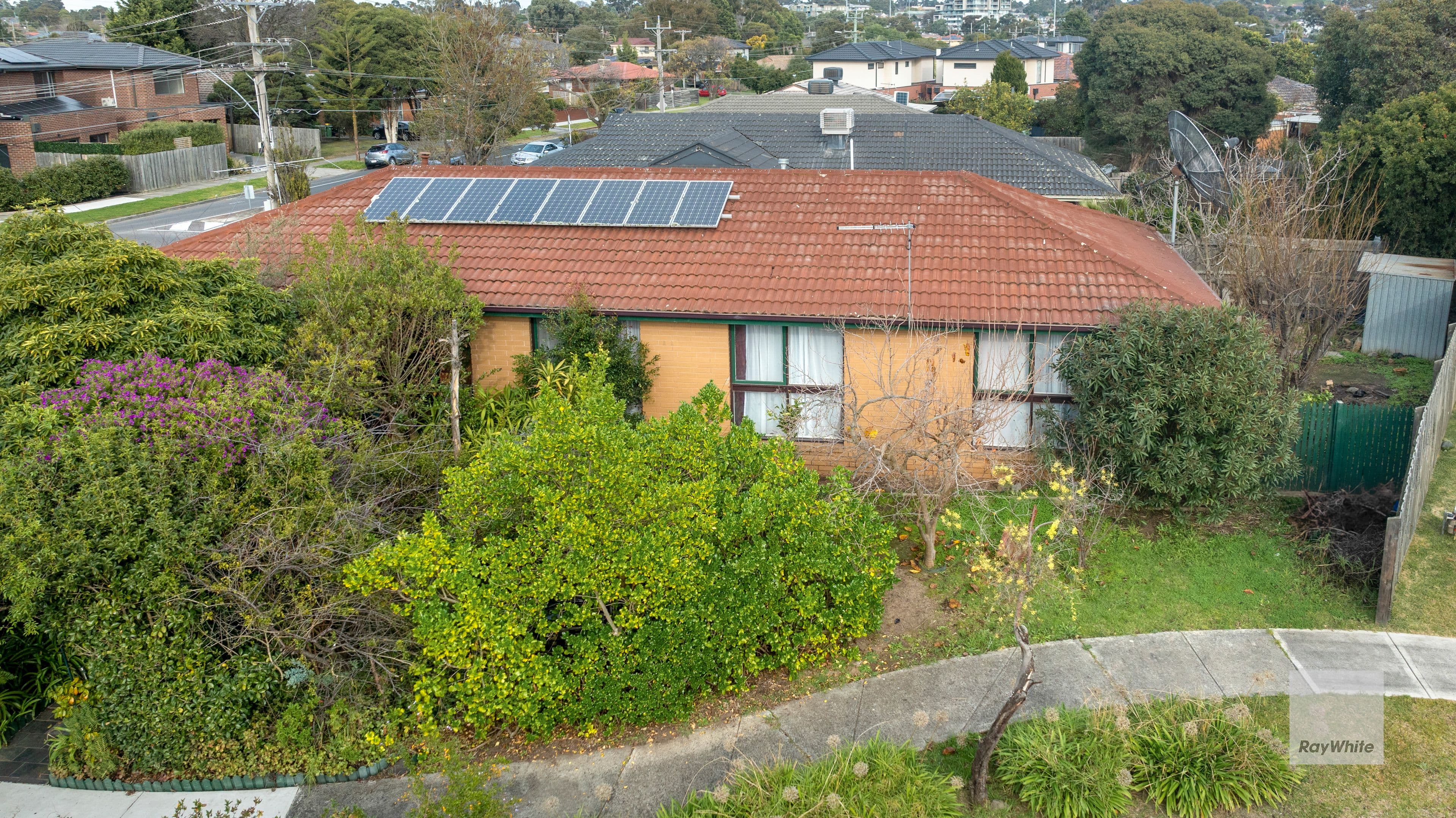 31 Milton Parade, Bundoora VIC 3083, Bundoora - Thumbnail 3