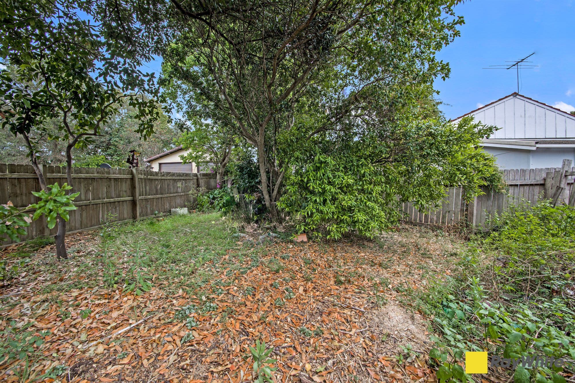 1 Nevis Crescent, Seven Hills NSW 2147, Seven Hills - Thumbnail 6