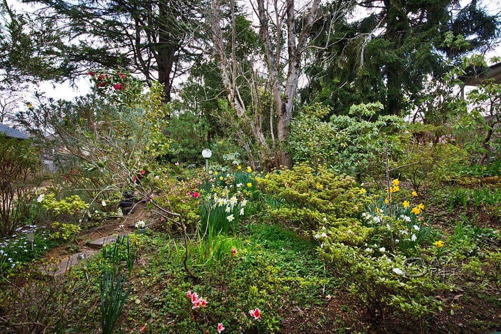 14 Bell Street, Blackheath - Thumbnail 7