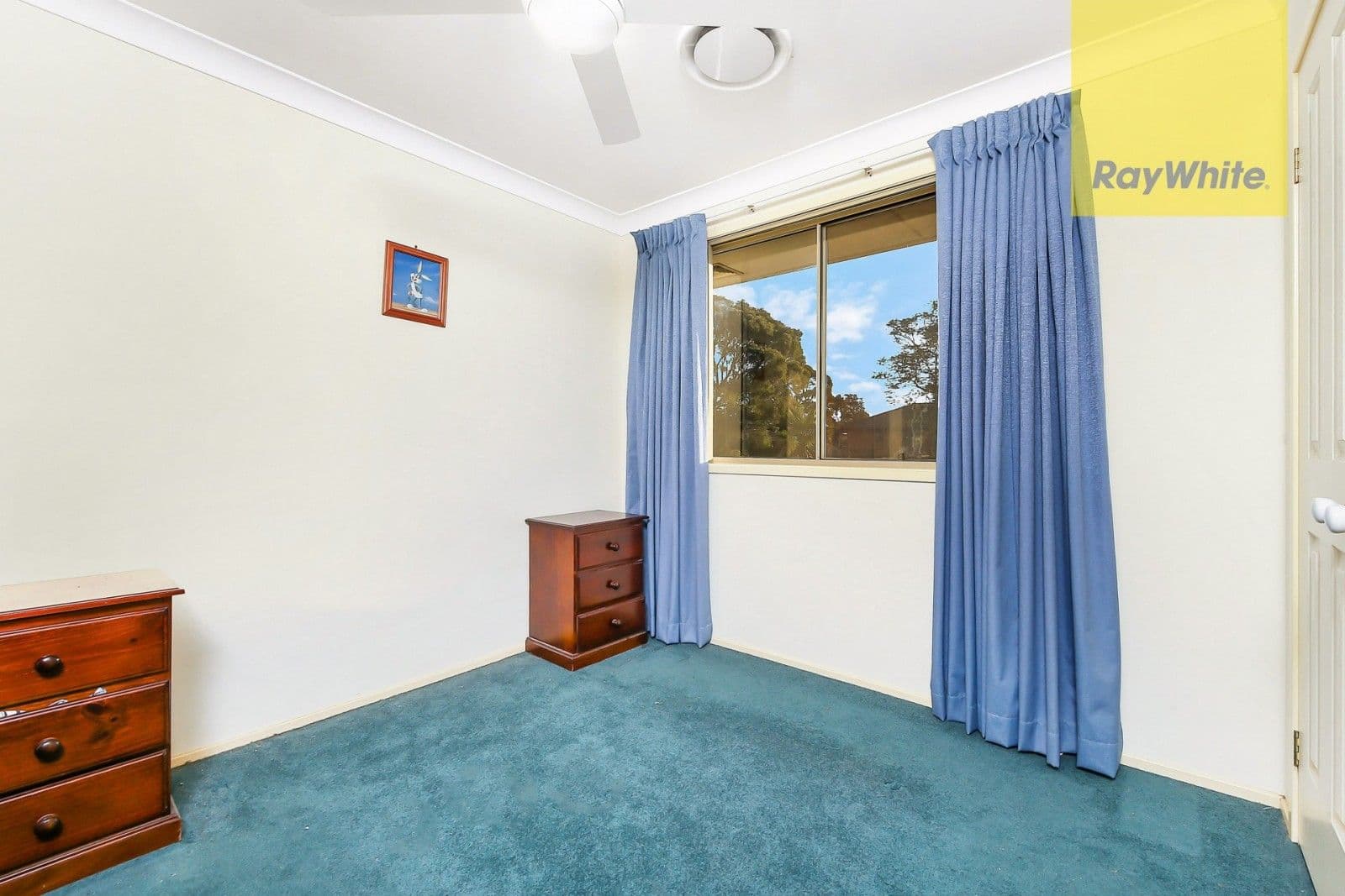 13 Daisy Street, Greystanes - Thumbnail 6