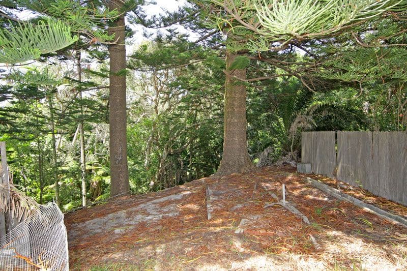 152 Ocean Parade, BLUE BAY NSW 2261, Blue Bay - Thumbnail 4