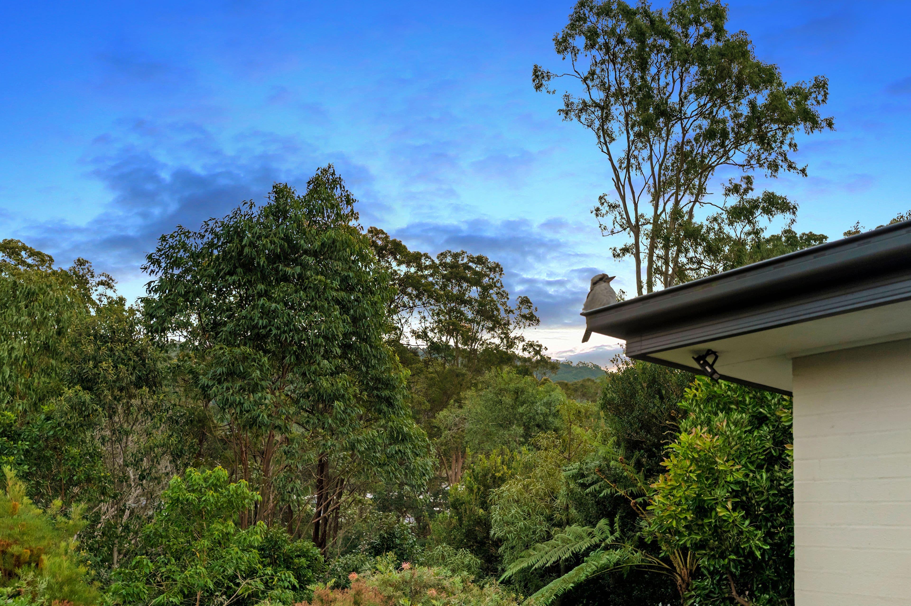 18 Jackson Ridge Road, Upper Coomera QLD 4209, Upper Coomera - Thumbnail 2