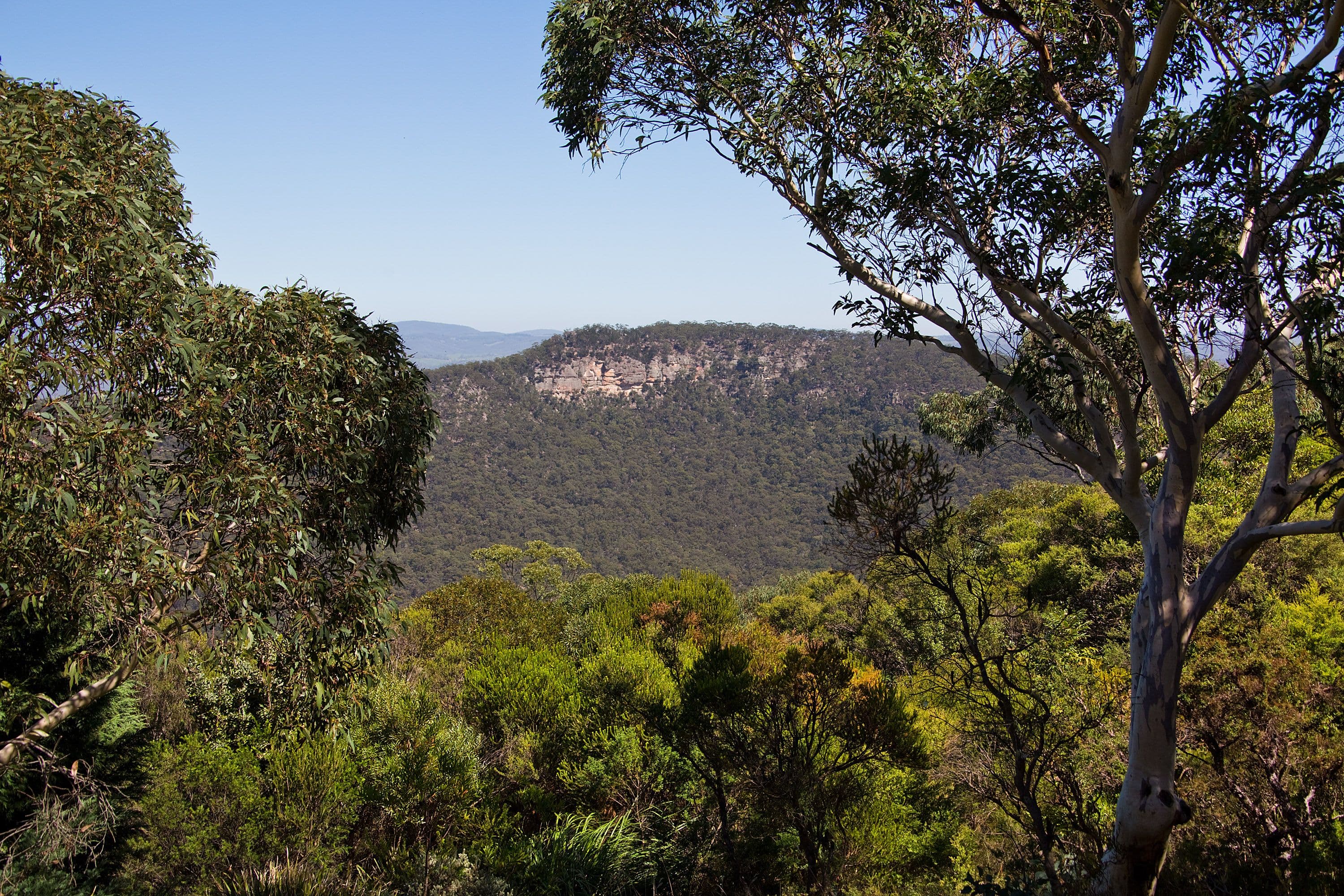 19 Gedye Street, Doncaster East - Thumbnail 7