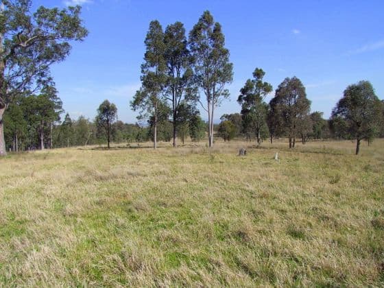 SINGLETON NSW 2330, Singleton - Image 1