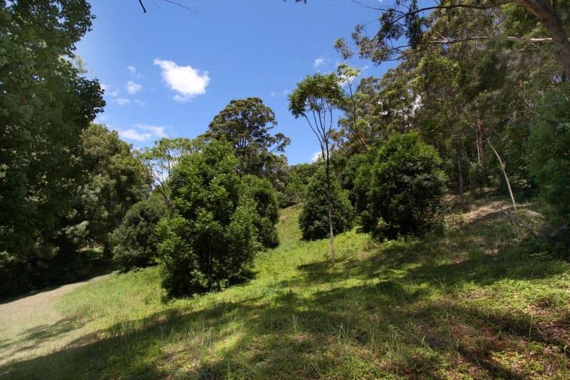 148 Panorama Drive, ROSEMOUNT QLD 4560, Rosemount - Thumbnail 7