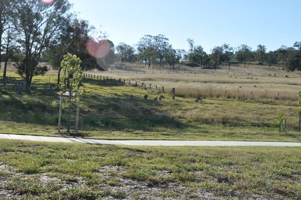 14 Rosella Gardens Drive, Meringandan West QLD 4352, Meringandan West - Thumbnail 4