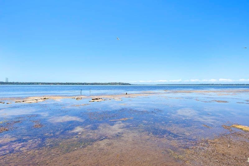 99 Malvina Parade, LAKE HAVEN NSW 2263, Lake Haven - Thumbnail 7