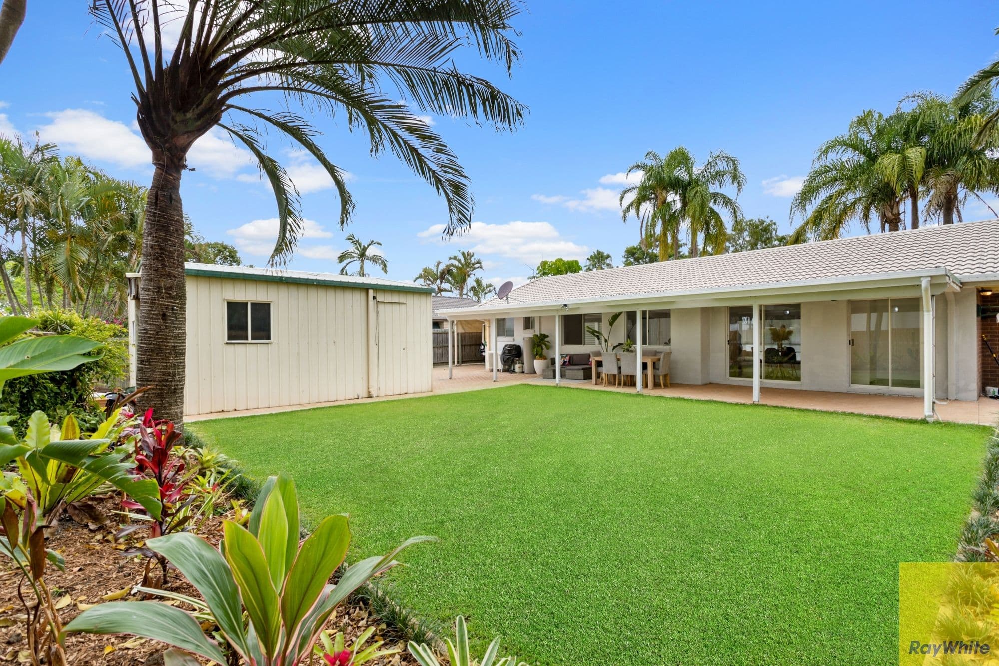 13 Stringybark Street, Spring Mountain QLD 4300, Spring Mountain - Thumbnail 5