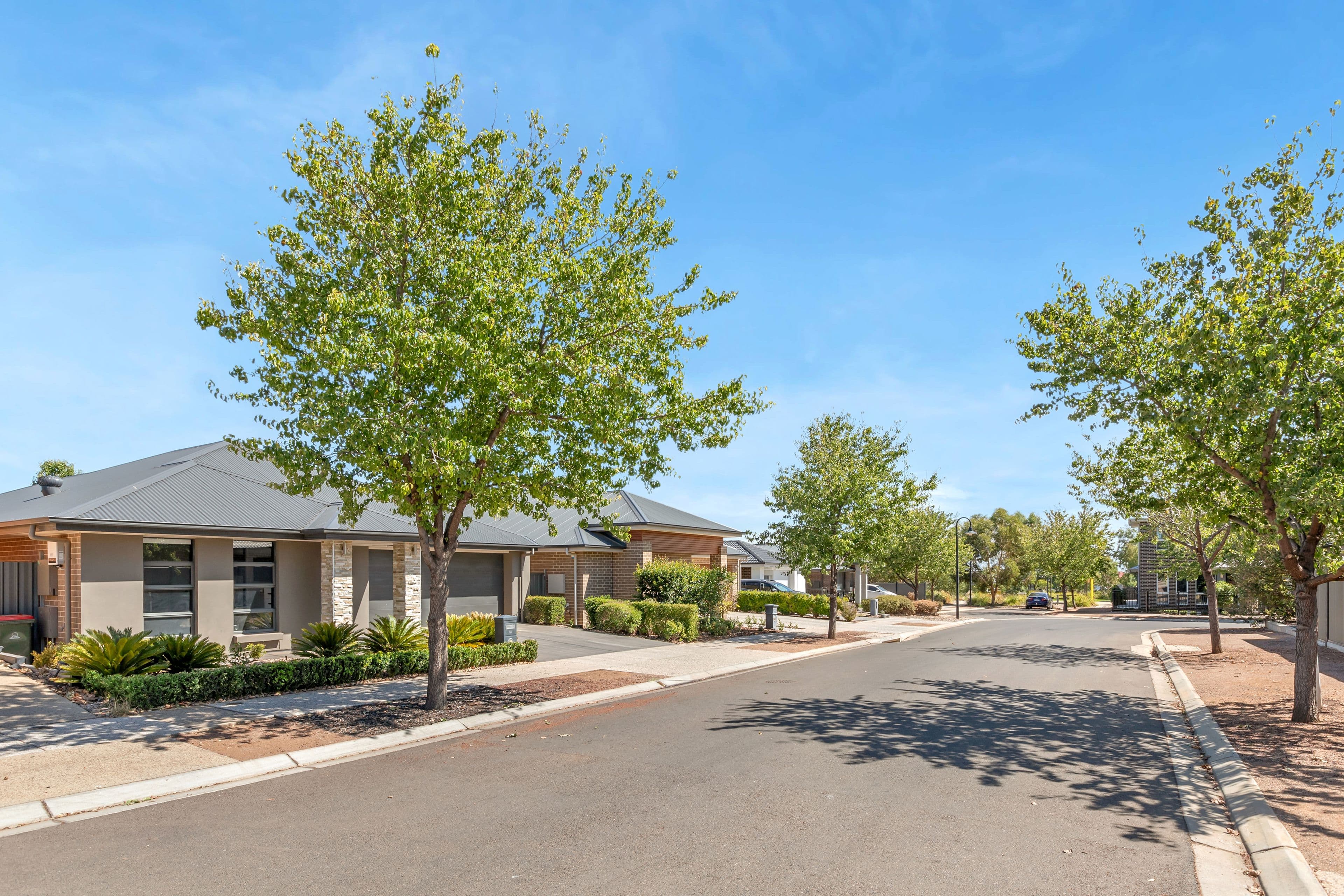 19 St Georges Way, Blakeview SA 5114, Blakeview - Thumbnail 3