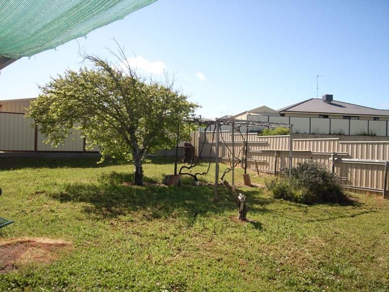 19 Pickering, DONGARA WA 6525, Dongara - Thumbnail 7