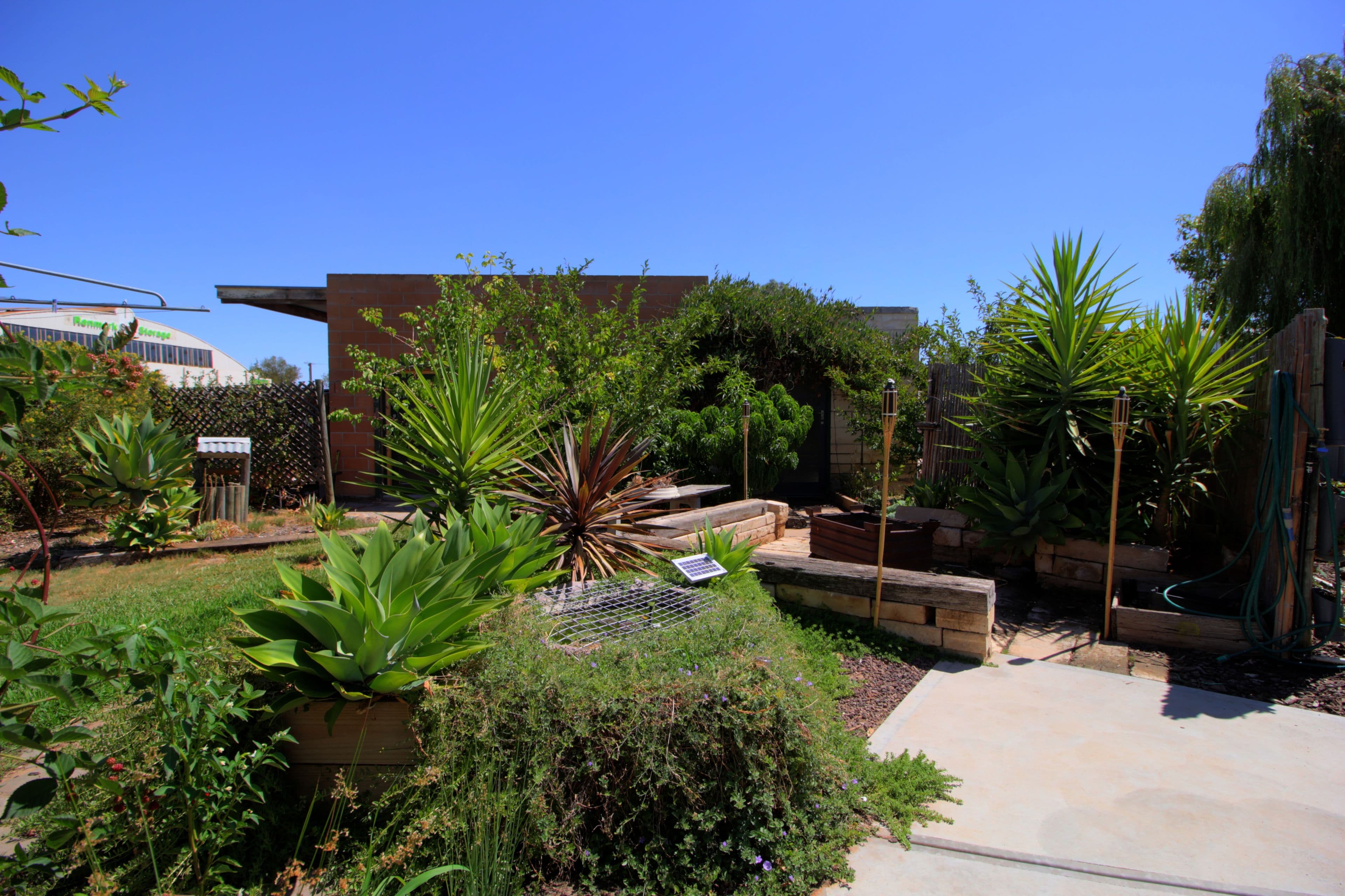 41 Seventeenth Street, Renmark SA 5341, Renmark - Thumbnail 8