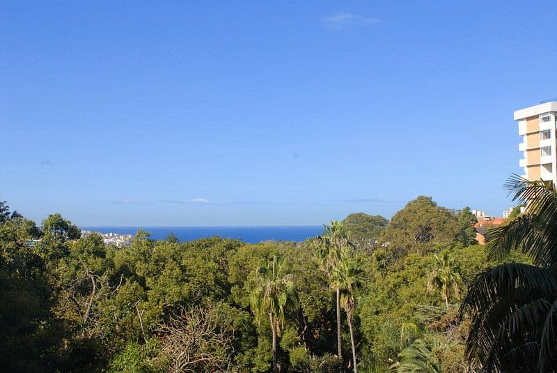 2B Penkivil Street, BONDI NSW 2026, Bondi - Thumbnail 4