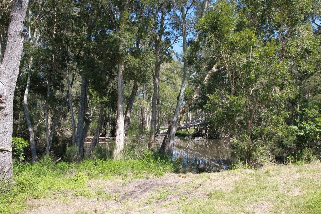 28 Church Street, Carrington NSW 2324, Carrington - Thumbnail 5