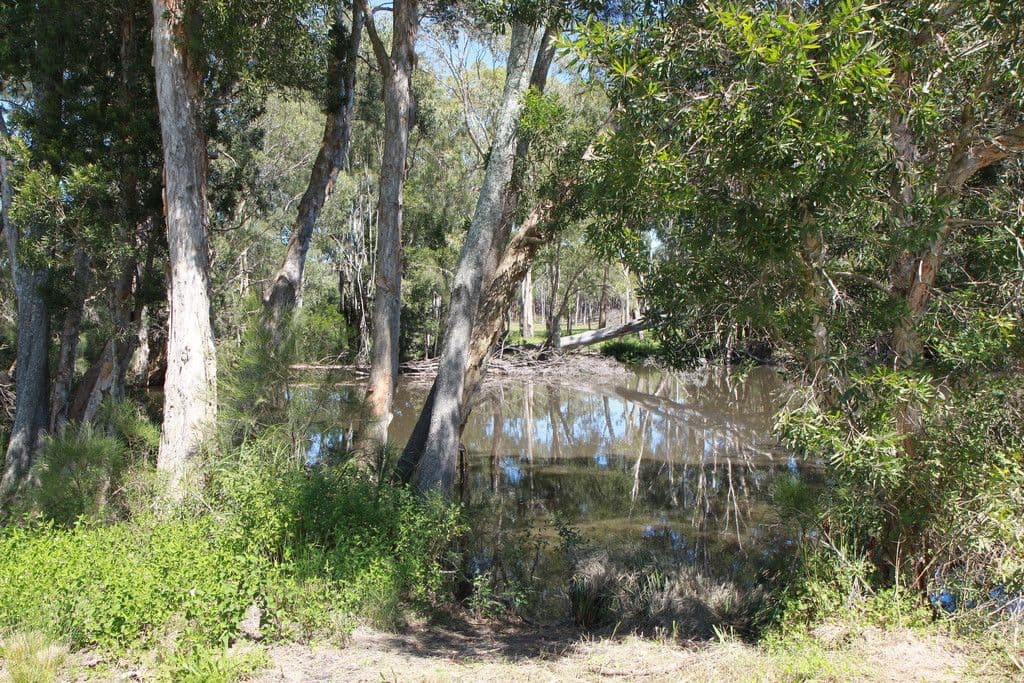 28 Church Street, Carrington NSW 2324, Carrington - Thumbnail 6