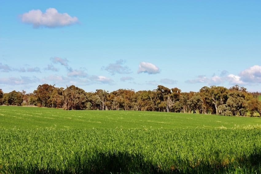 Lot 1 DP 1195286 Back Creek Road, KINGSVALE NSW 2587, Kingsvale - Thumbnail 2