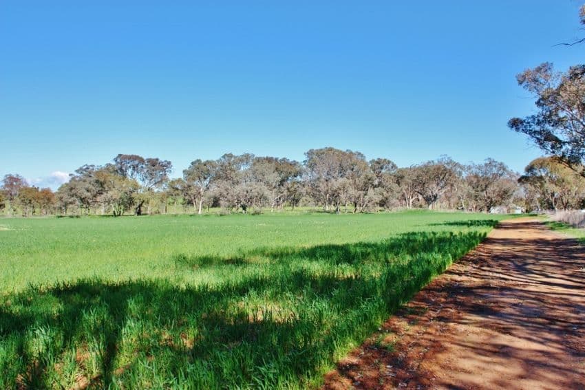 Lot 1 DP 1195286 Back Creek Road, KINGSVALE NSW 2587, Kingsvale - Thumbnail 3