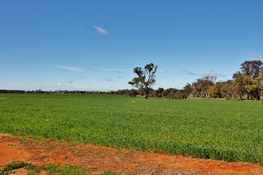 Lot 1 DP 1195286 Back Creek Road, KINGSVALE NSW 2587, Kingsvale - Thumbnail 4