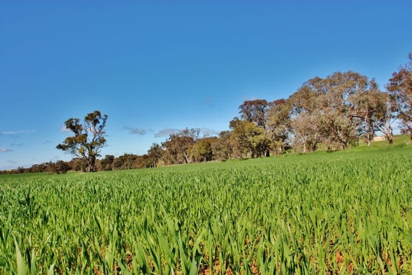 Lot 1 DP 1195286 Back Creek Road, KINGSVALE NSW 2587, Kingsvale - Thumbnail 5
