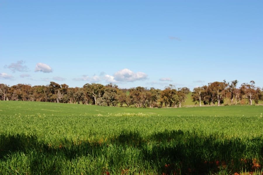 Lot 1 DP 1195286 Back Creek Road, KINGSVALE NSW 2587, Kingsvale - Thumbnail 6