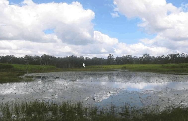 87 South Littabella Road, YANDARAN QLD 4673, Yandaran - Thumbnail 2