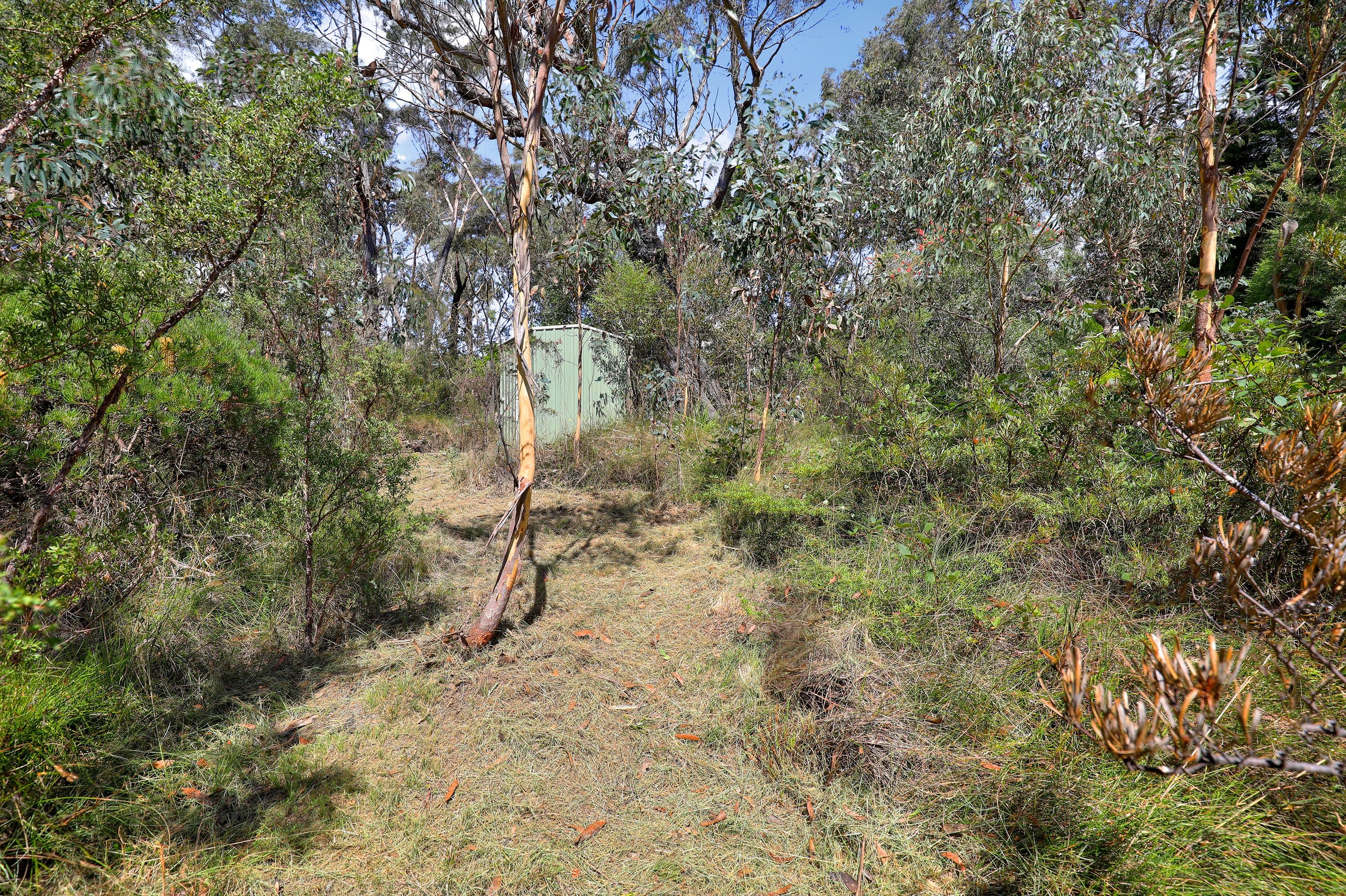 67 Godson Avenue, Blackheath NSW 2785, Blackheath - Thumbnail 8