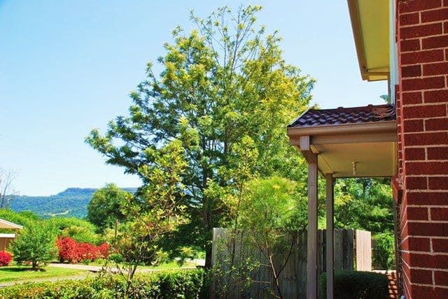 24 George Street, BERRY NSW 2535, Berry - Thumbnail 2