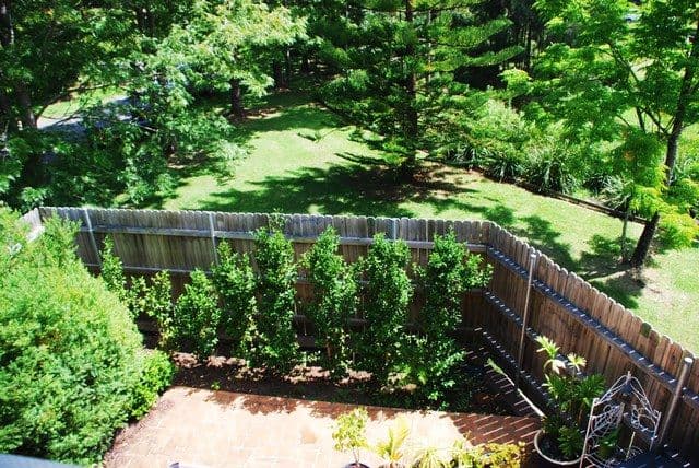 24 George Street, BERRY NSW 2535, Berry - Thumbnail 3