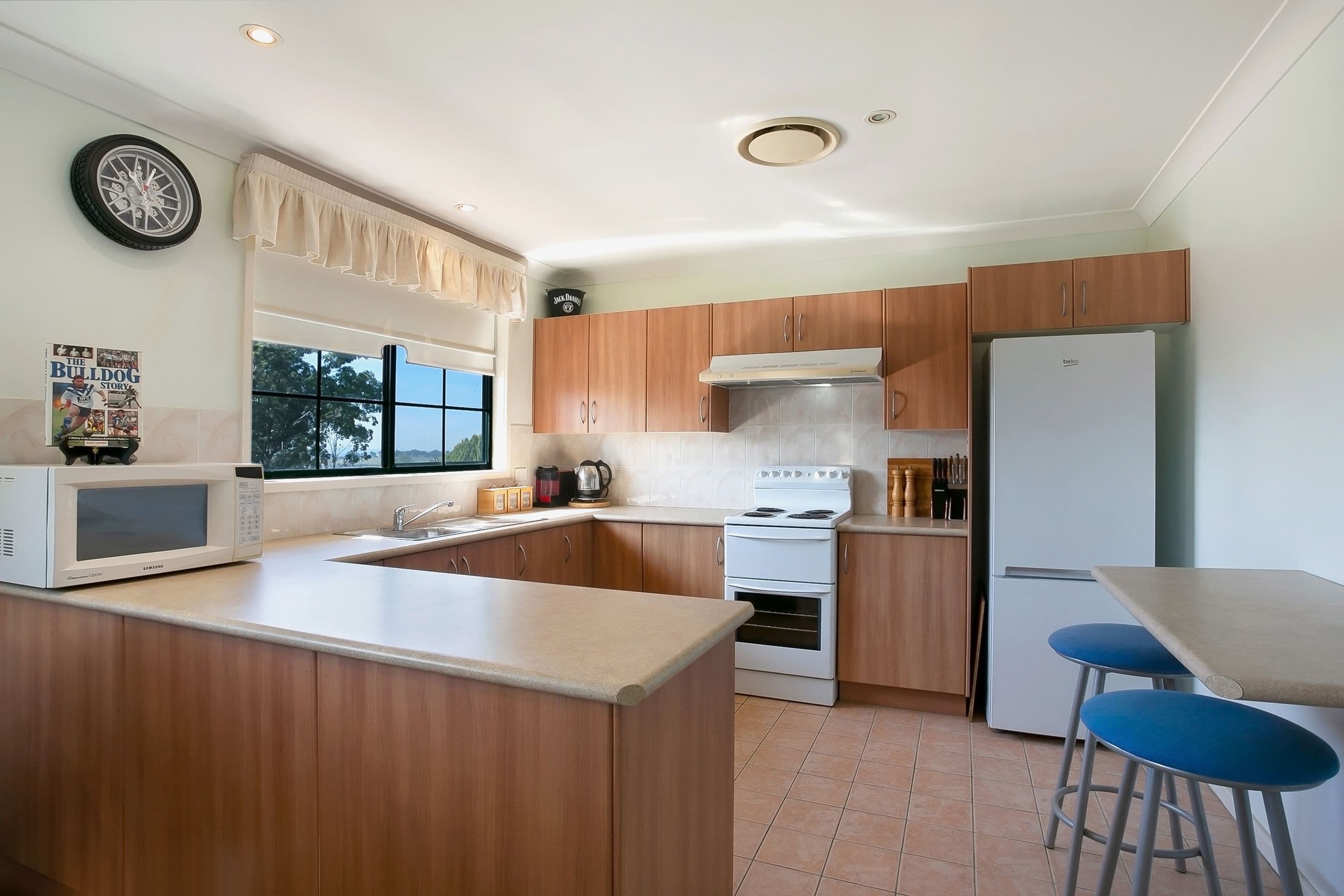 19 Michael Avenue, Luddenham NSW 2745, Luddenham - Thumbnail 3