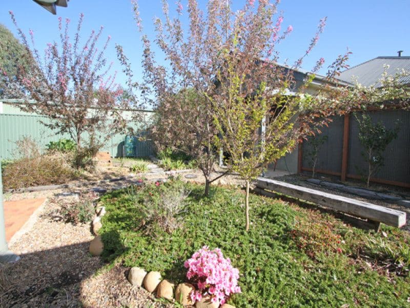 54 Day Circuit, Bungendore NSW 2621, Bungendore - Thumbnail 7