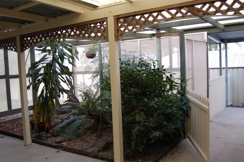 22  Matson Avenue, REGENTS PARK QLD 4118, Regents Park - Thumbnail 4