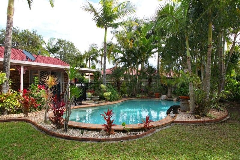 1 Haddys Close, MOUNTAIN CREEK QLD 4557, Mountain Creek - Image 1