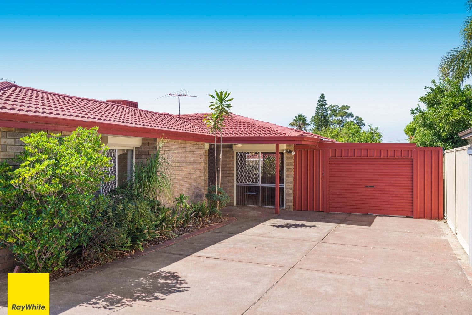 9 Regnans Close, Mirrabooka WA 6061, Mirrabooka - Thumbnail 2