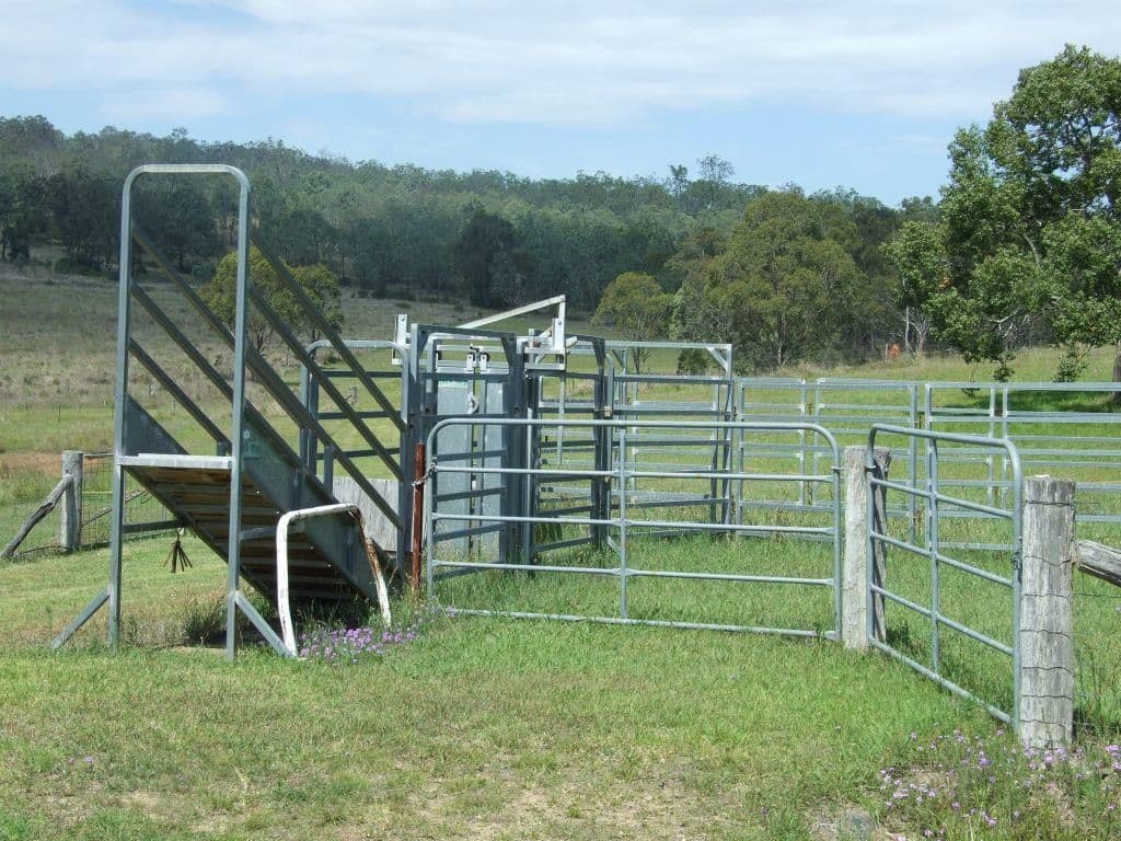 425 Palms Road, COOYAR QLD 4402, Cooyar - Thumbnail 3