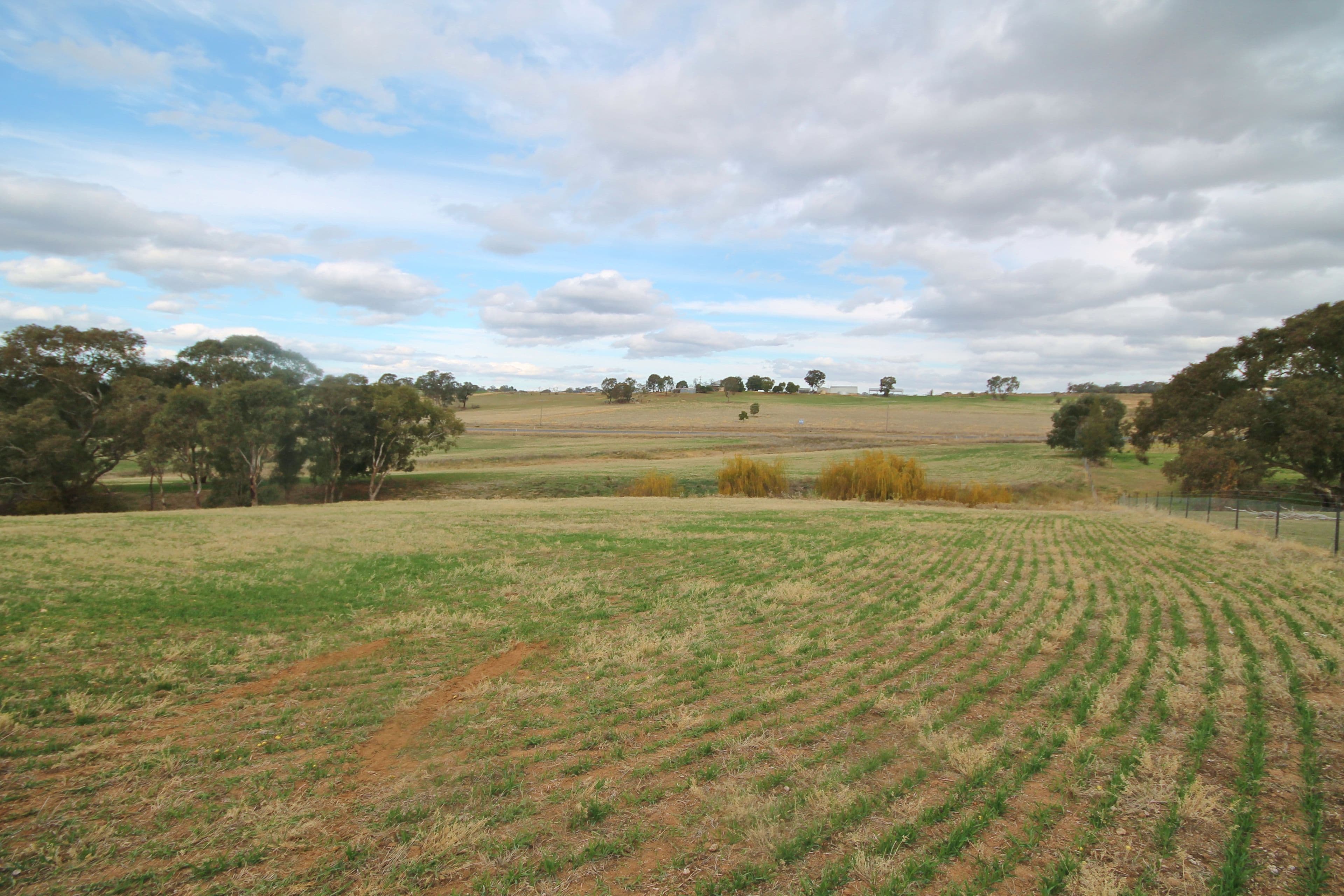 (Part) 373 Milvale Road, Young NSW 2594, Young - Thumbnail 2