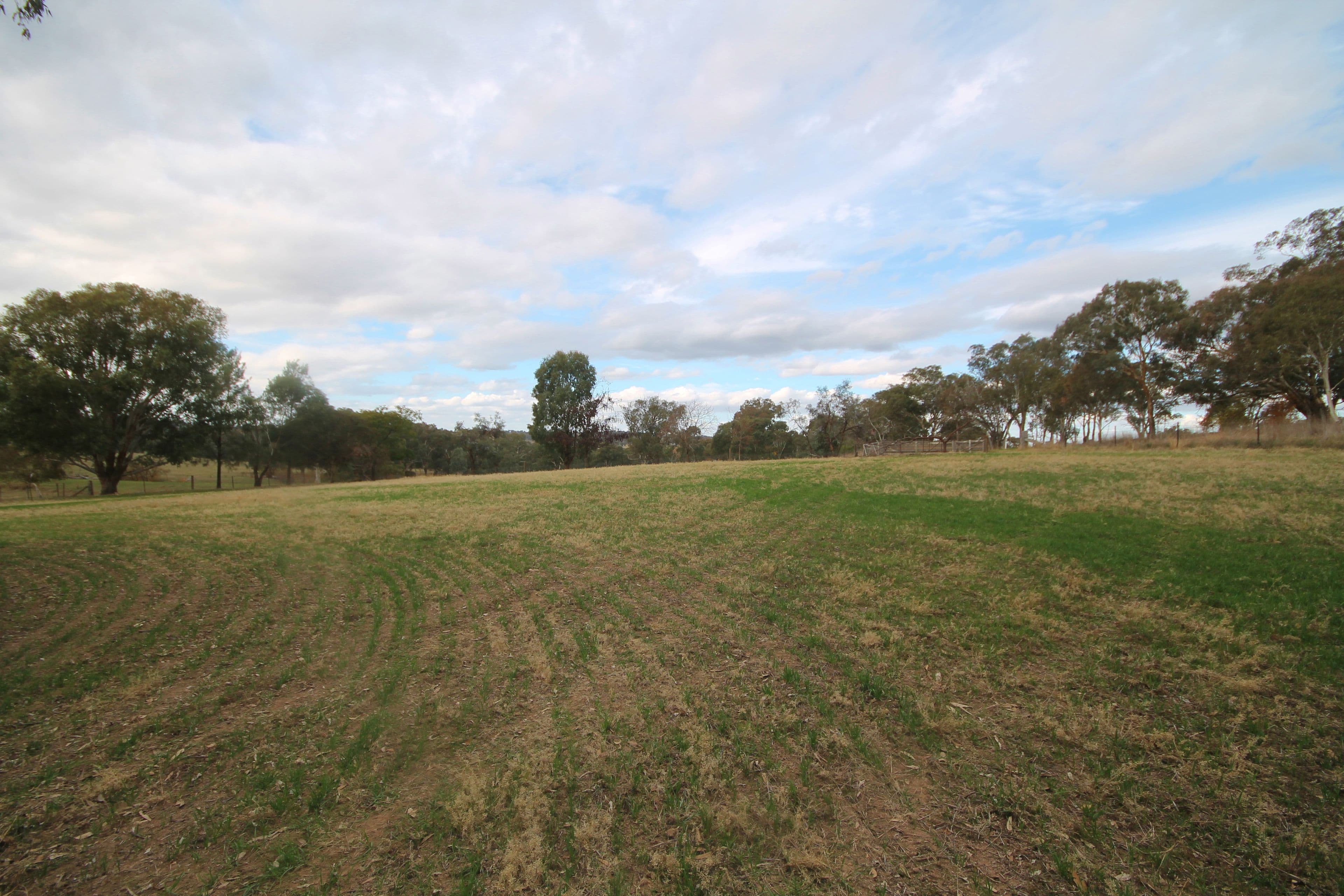 (Part) 373 Milvale Road, Young NSW 2594, Young - Thumbnail 6